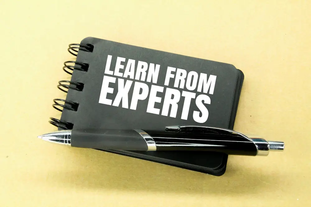 learn from experts